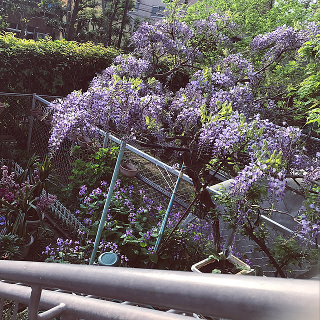 machakoさんの実例写真
