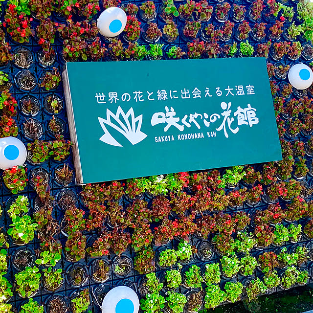 tututu0204さんの部屋