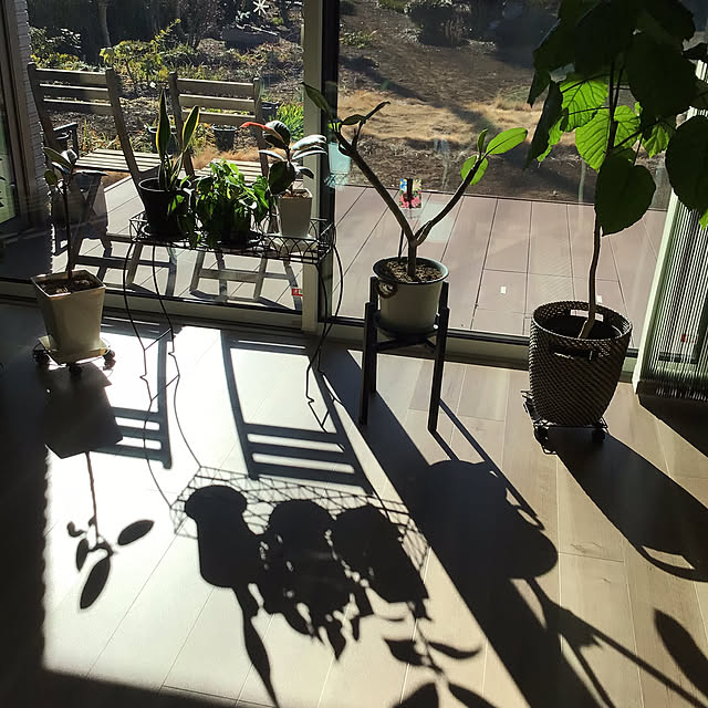 houenさんの部屋