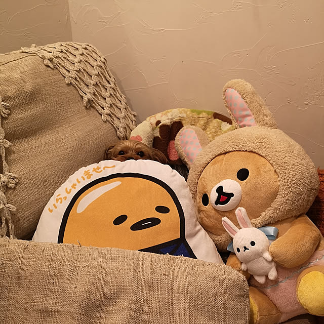 akiさんの実例写真