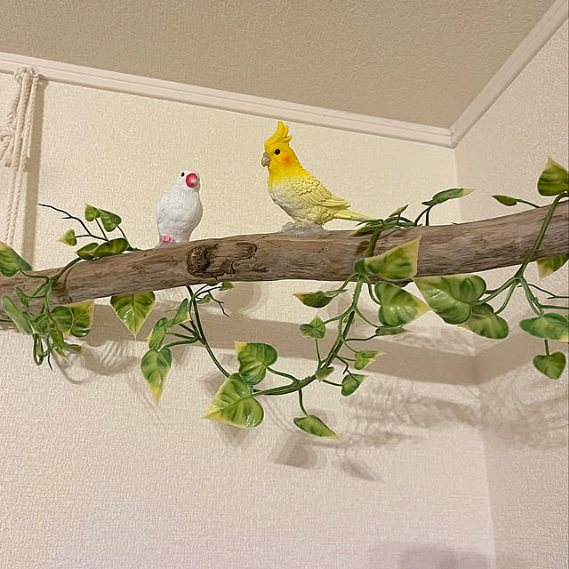 RAKI_Homeさんの実例写真