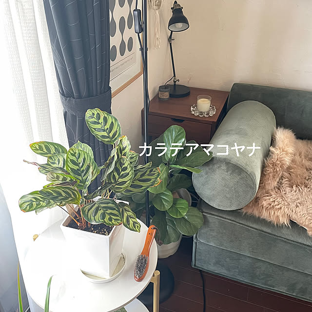 kuroさんの実例写真