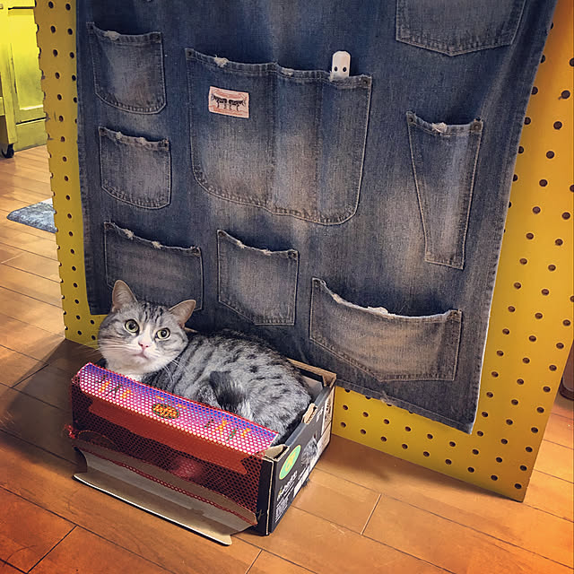 Shojiさんの実例写真