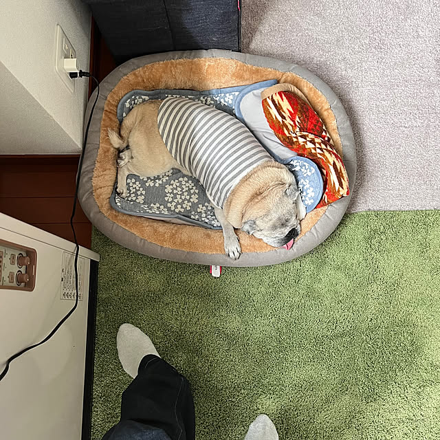 kellyさんの部屋