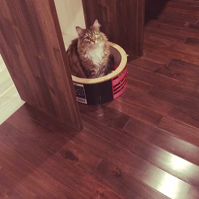 harryさんの実例写真