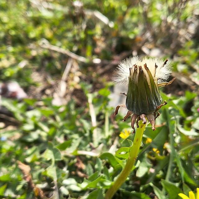 Rubiconさんの部屋