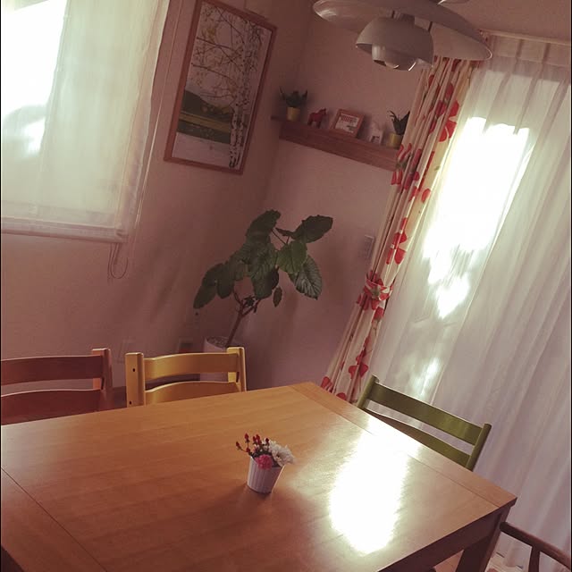 実例写真
