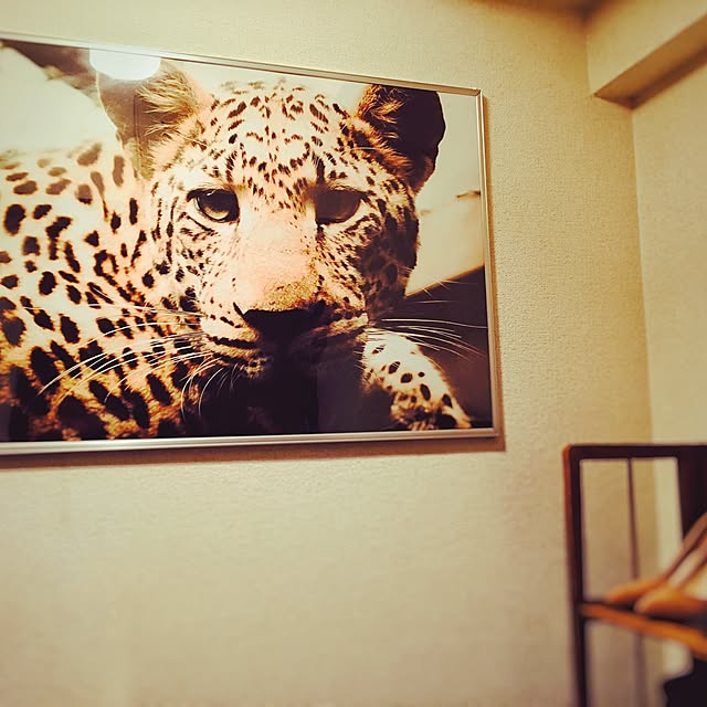 玄関/入り口/玄関/一人暮らし/写真のインテリア実例 - 2016-08-07 23:13:11