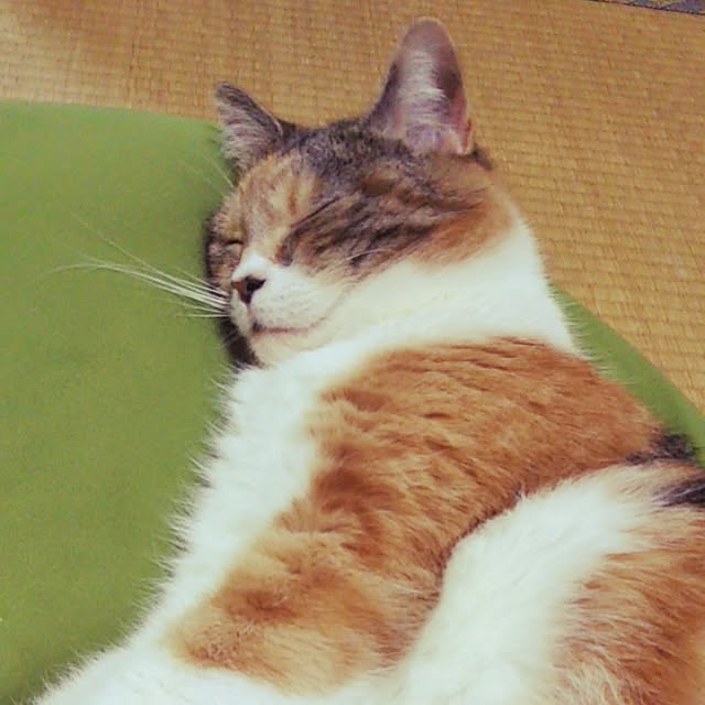 yukieさんの実例写真