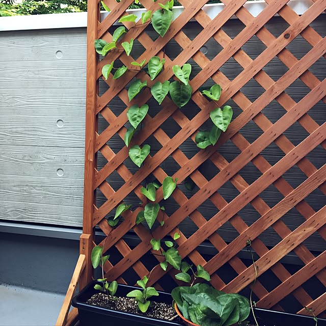 craneさんの実例写真