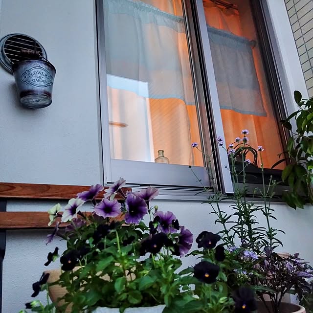 Petit_Pommierさんの部屋