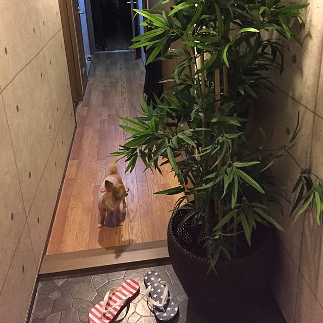 YokoYokoさんの実例写真