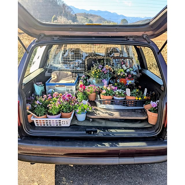 ElegantiqueFlowerさんの部屋