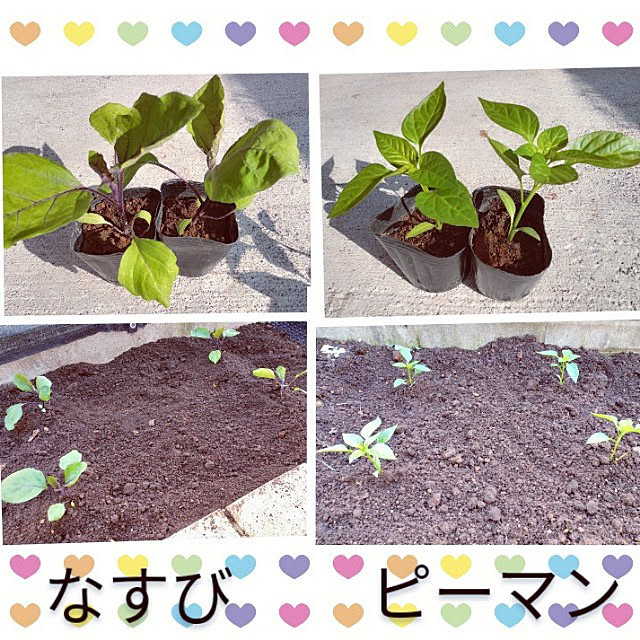 mocomocoさんの実例写真