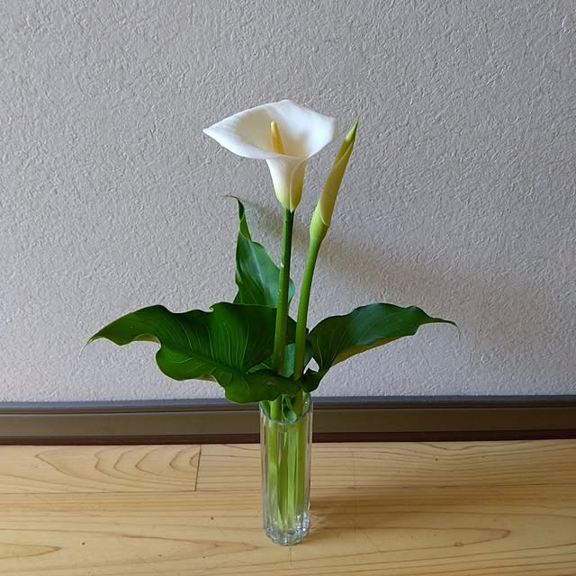 Motomeさんの部屋