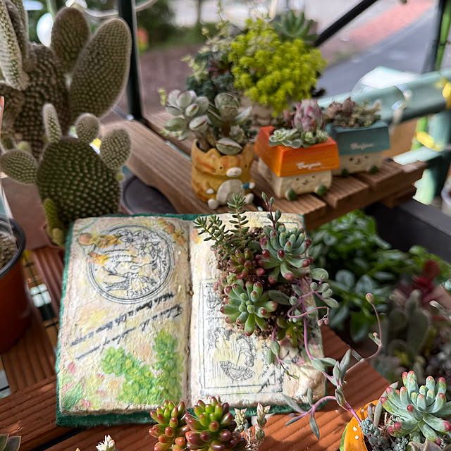 Aqettyさんの部屋