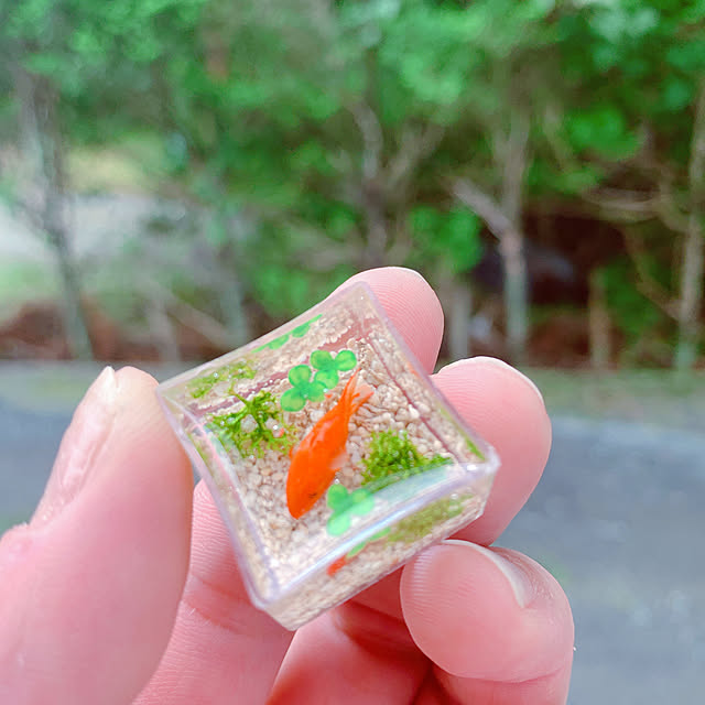 miemekkoさんの実例写真