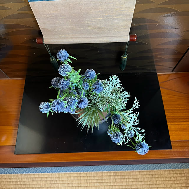 mamizaさんの部屋