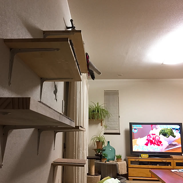 nanaさんの実例写真