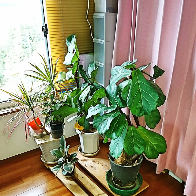 akiradesuさんの実例写真