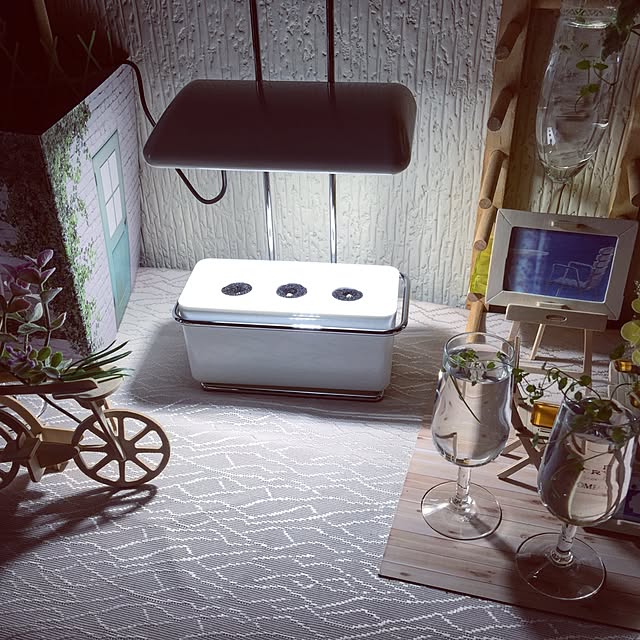 miumiさんの実例写真