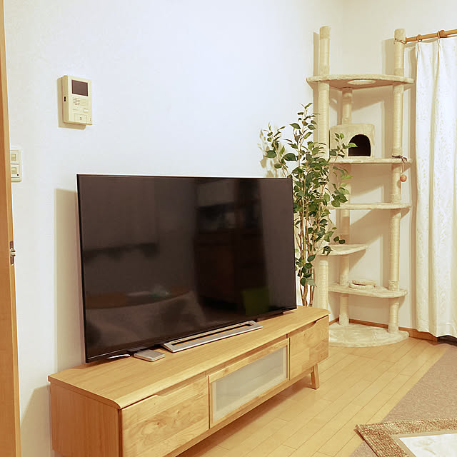 ニトリ/観葉植物/リビングのインテリア実例 - 2021-11-12 19:17:50