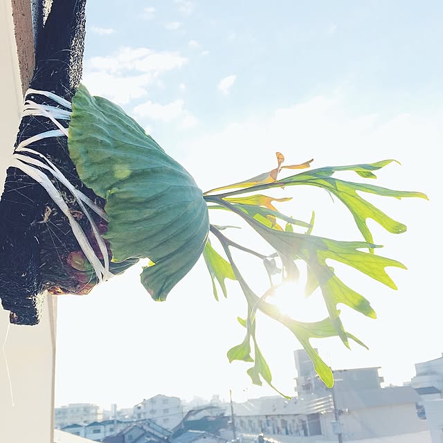 tabatyさんの実例写真