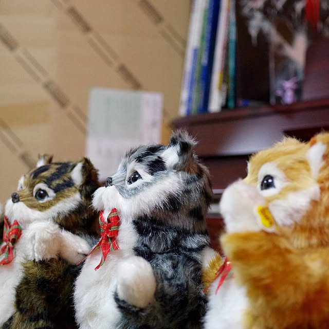 oryouさんの実例写真