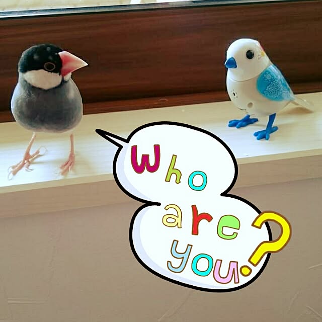 cherryさんの実例写真