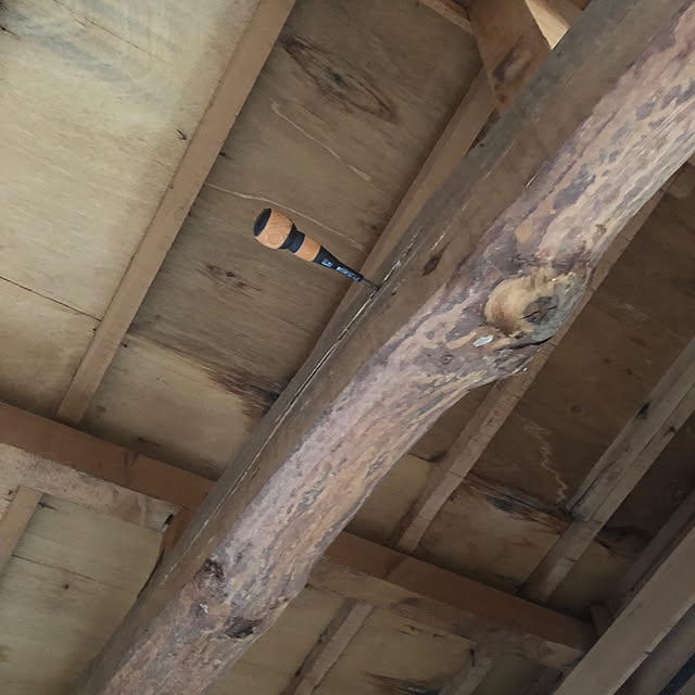 sontyoさんの部屋