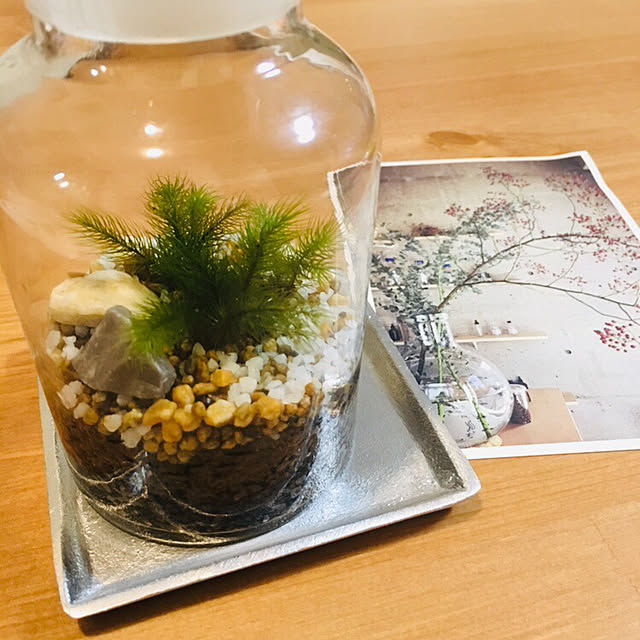 uchicoさんの実例写真