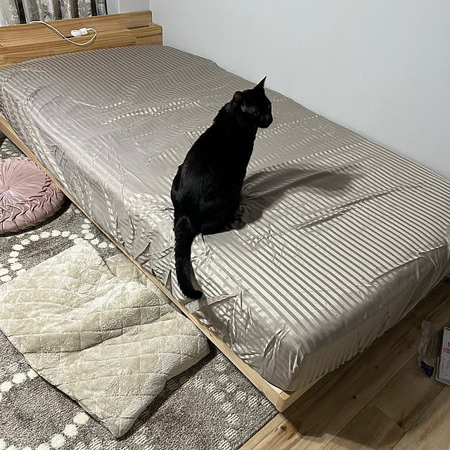 mimiさんの部屋