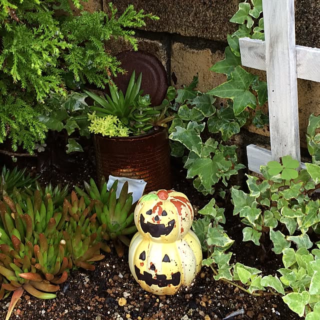 kaoさんの実例写真