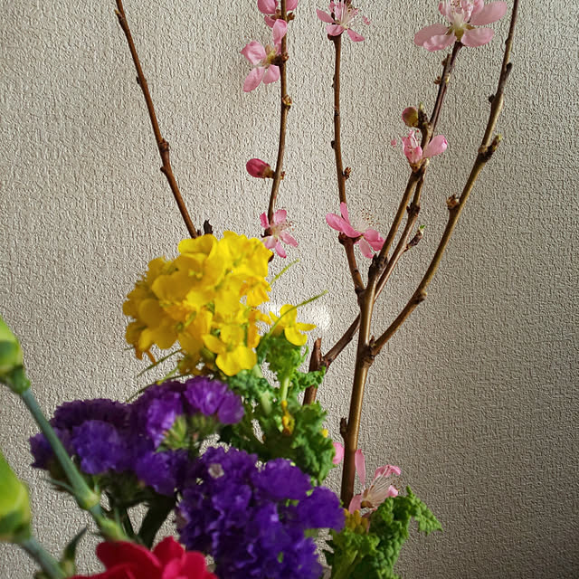 tomichanさんの実例写真