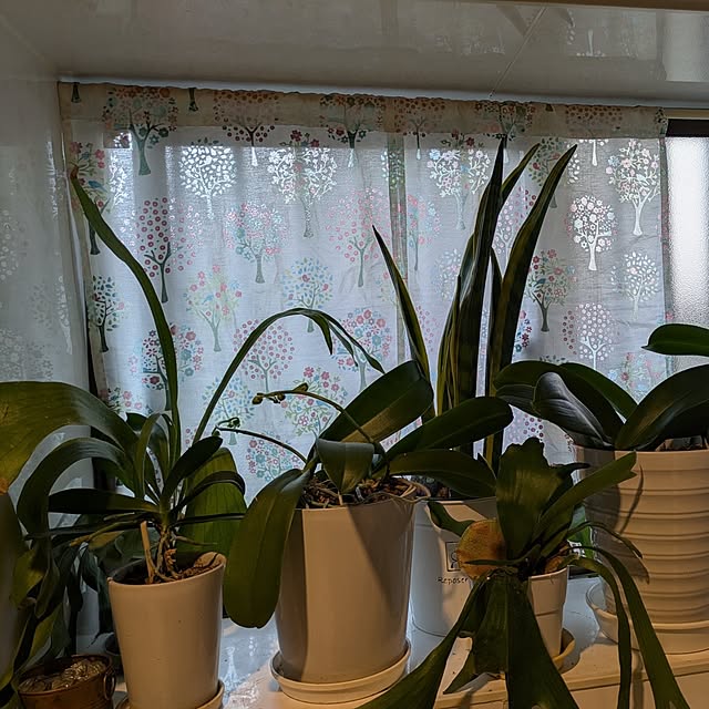 Yoshie1911さんの部屋