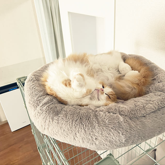 タンスのゲン トイレ付き キャットケージ 3段 引き出し 収納 タンスのゲン トイレ付き キャットケージ 3段 引き出し 収納