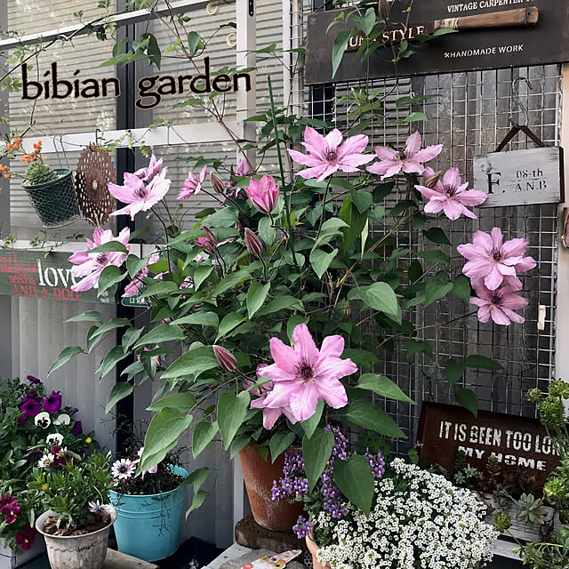 bibianさんの実例写真