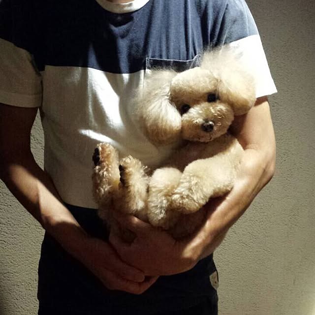kznrさんの実例写真