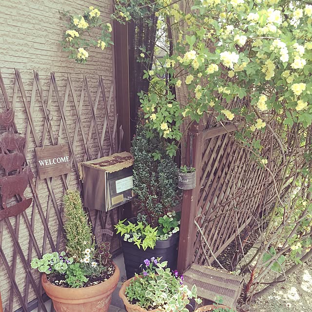 実例写真