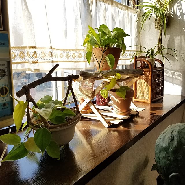 midoriさんの部屋