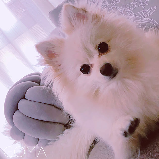 zunderiaさんの実例写真