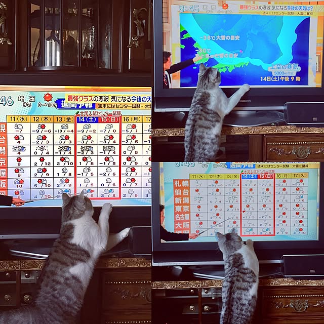 emmyyさんの実例写真