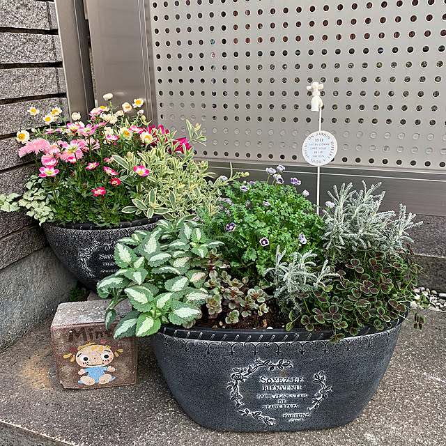 maayaさんの部屋