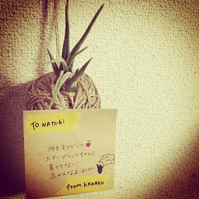 knkさんの実例写真