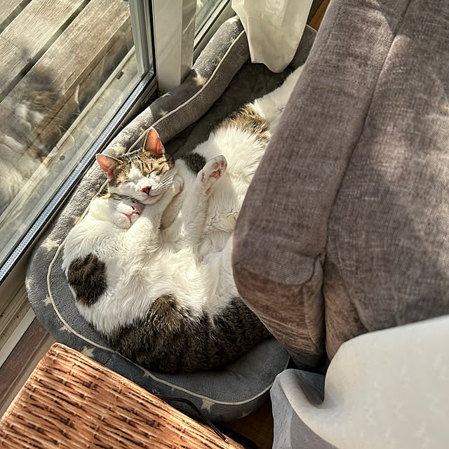 Lufuさんの部屋