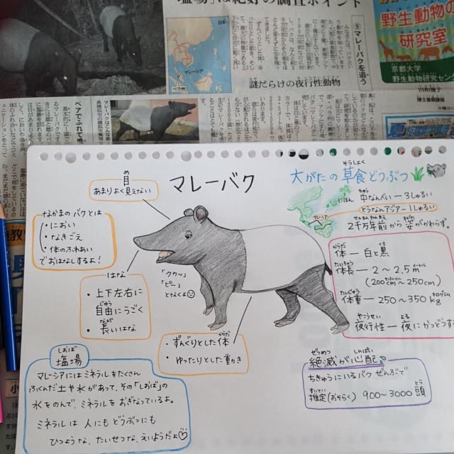mini_mayさんの実例写真