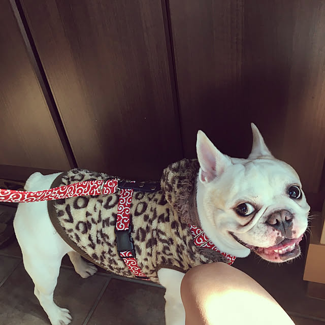 remu0319さんの実例写真