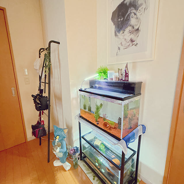 moolさんの部屋