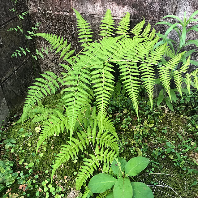 fumikoiさんの部屋