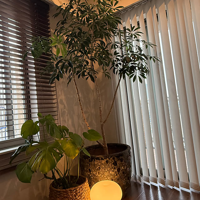 kanibocoさんの部屋